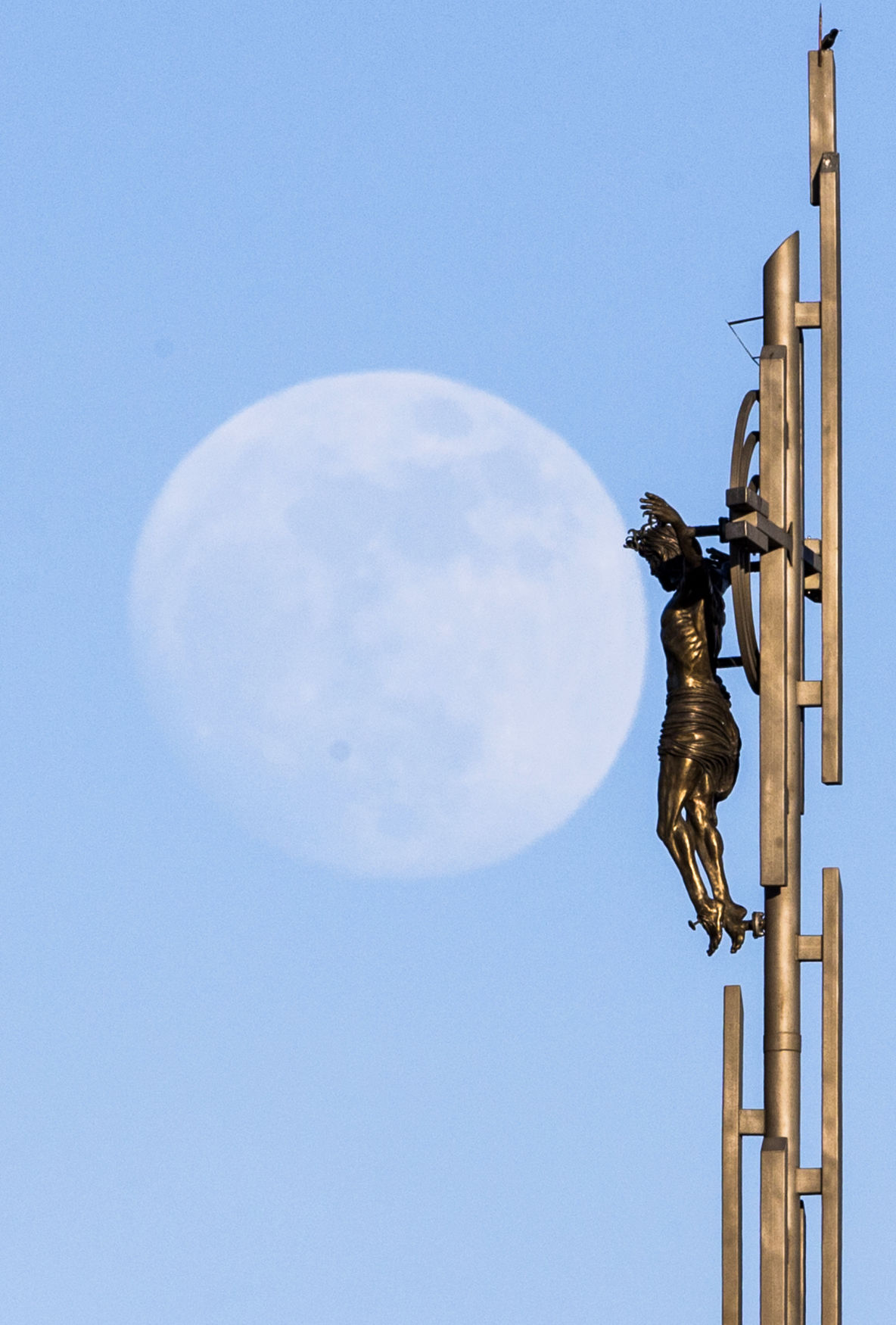 Blue Moon